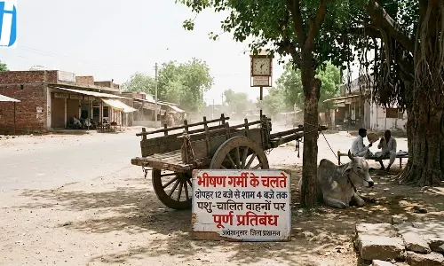 भीषण गर्मी के चलते दोपहर में पशु-चालित वाहनों पर लगा प्रतिबंध भीषण गर्मी के चलते दोपहर में पशु-चालित वाहनों पर लगा प्रतिबंध