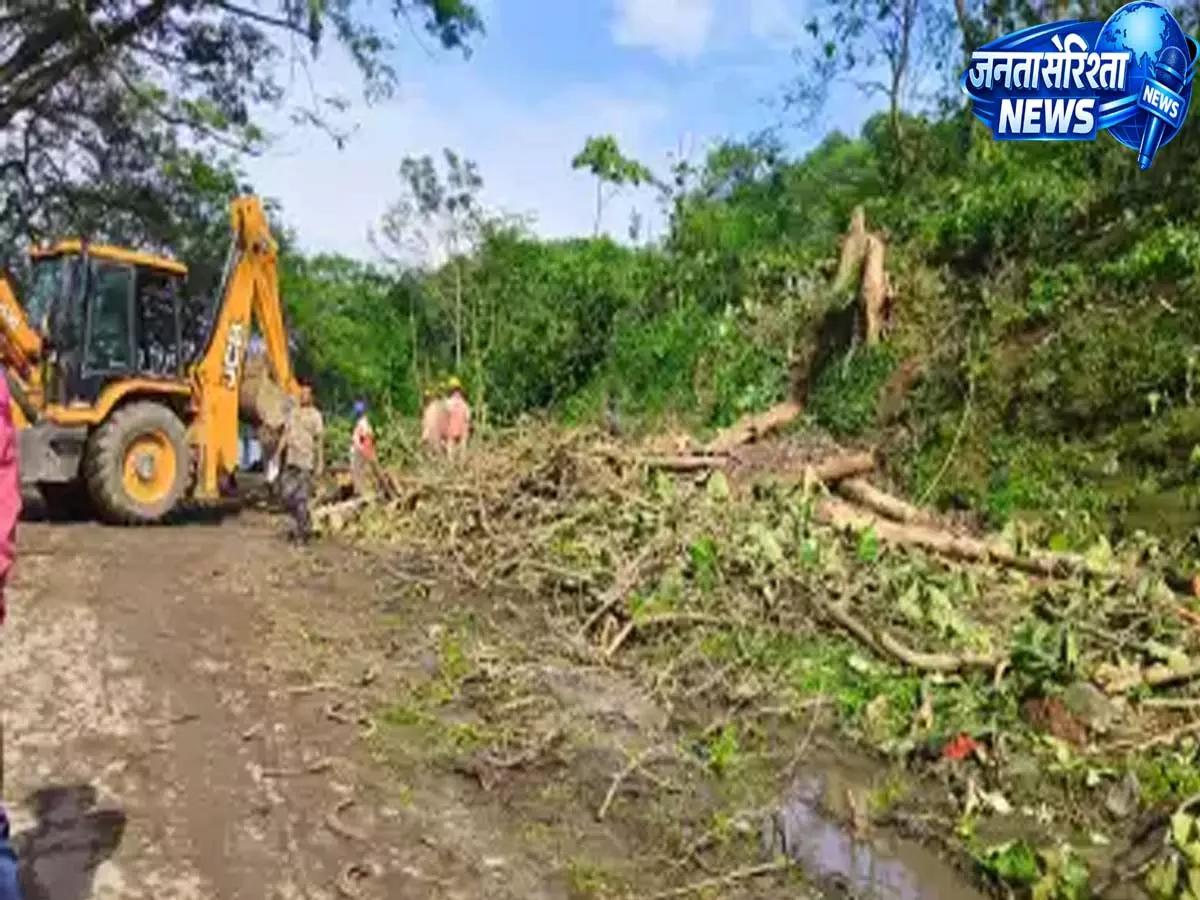 Deepor Beel Elevated Corridor: पेड़ों की कटाई और पर्यावरणीय असर पर चिंता Deepor Beel Elevated Corridor: पेड़ों की कटाई और पर्यावरणीय असर पर चिंता