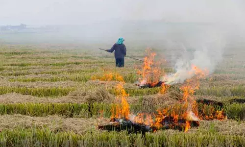 Karnal में गेहूं की पराली जलाने पर 12 किसानों के खिलाफ नौ FIR दर्ज Karnal में गेहूं की पराली जलाने पर 12 किसानों के खिलाफ नौ FIR दर्ज