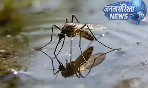 Delhi: डेंगू के मामलों में बढ़ोतरी, अप्रैल में 5 साल का उच्चतम स्तर दर्ज