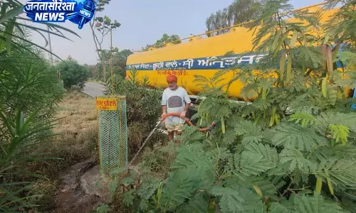 Punjab: पौधों की देखभाल में सेवा और समर्पण का महत्व Punjab: पौधों की देखभाल में सेवा और समर्पण का महत्व