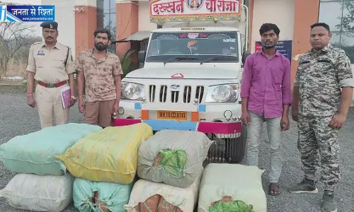 सब्जी कैरेट से 1 करोड़ का गांजा जब्त, महासमुंद में पकड़ाया महाराष्ट्र का पिकअप सब्जी कैरेट से 1 करोड़ का गांजा जब्त, महासमुंद में पकड़ाया महाराष्ट्र का पिकअप