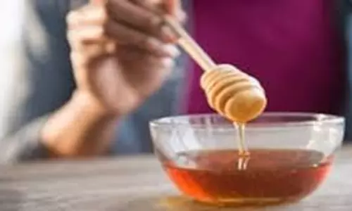 किचन में शहद असली है या नकली? आसान ट्रिक्स से करें शुद्धता की जांच
