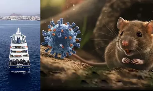 ब्रिटेन में Hantavirus का मामला: क्रूज़ शिप से लौटे दो नागरिक क्वारंटाइन में ब्रिटेन में Hantavirus का मामला: क्रूज़ शिप से लौटे दो नागरिक क्वारंटाइन में