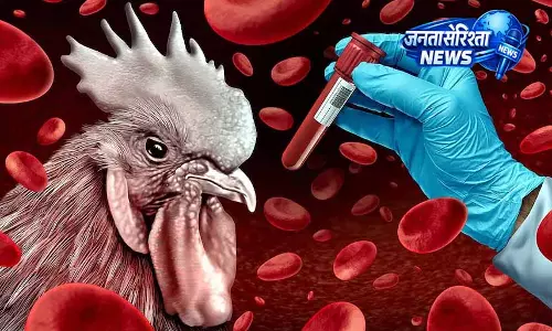 Maharashtra: H5N1 बर्ड फ्लू फैलने से पोल्ट्री उद्योग प्रभावित