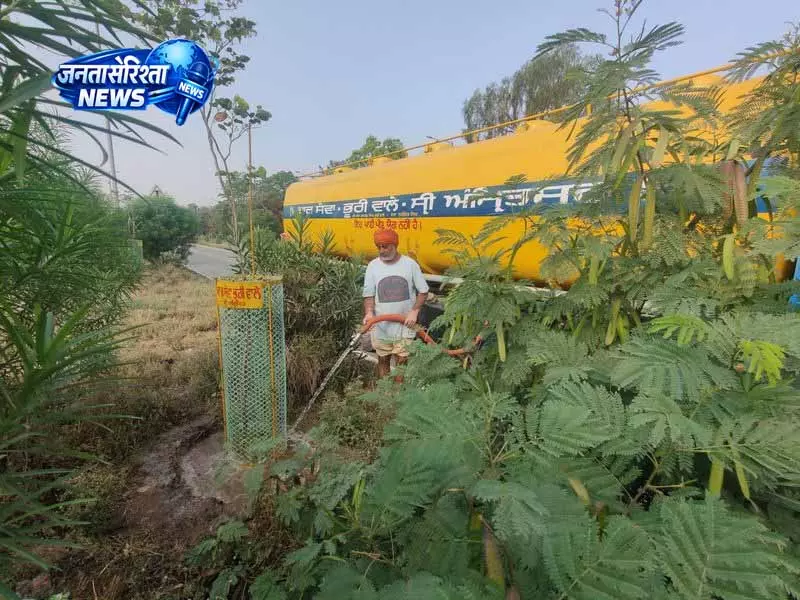 Punjab: पौधों की देखभाल में सेवा और समर्पण का महत्व Punjab: पौधों की देखभाल में सेवा और समर्पण का महत्व
