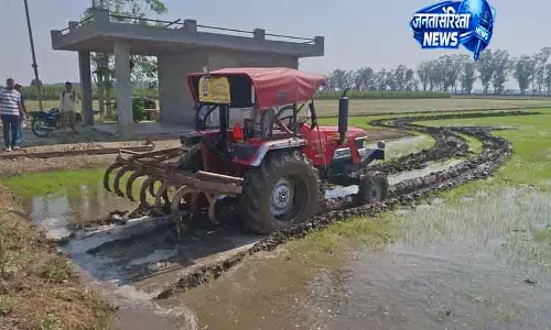 Haryana के करनाल में जल्दी बोया गया धान नष्ट हो गया Haryana के करनाल में जल्दी बोया गया धान नष्ट हो गया