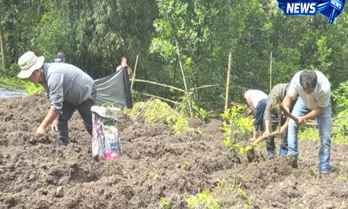 Pasingdang Baik ने 500+ GI-टैग वाले डल्ले खोरसानी पौधे लगाकर पृथ्वी से जुड़ें अभियान को आगे बढ़ाया