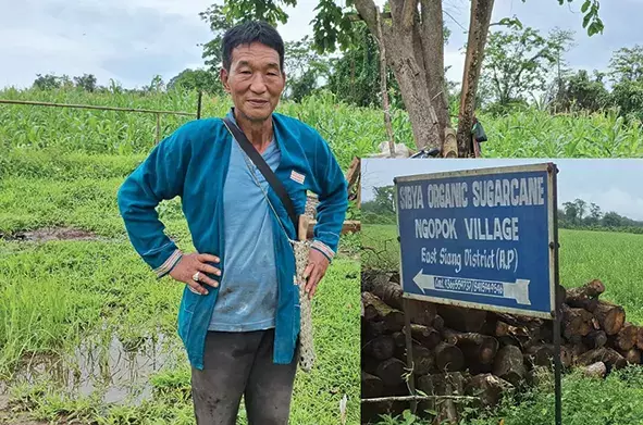 Arunachal: मेबो के किसान ने आत्मनिर्भरता की राह दिखाई Arunachal: मेबो के किसान ने आत्मनिर्भरता की राह दिखाई
