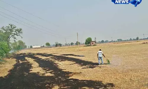Haryana के Kurukshetra में पराली जलाने के आरोप में 19 किसानों पर FIR दर्ज Haryana के Kurukshetra में पराली जलाने के आरोप में 19 किसानों पर FIR दर्ज