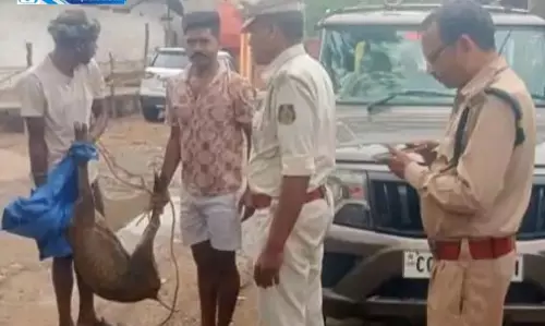 रायगढ़ में वन्य प्राणी को कुत्तों ने नोचा, मौत