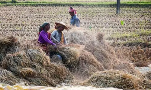देश में कार्यबल का औपचारिकरण बढ़ाना और सामाजिक सुरक्षा कवरेज का विस्तार आवश्यक : एसबीआई रिपोर्ट देश में कार्यबल का औपचारिकरण बढ़ाना और सामाजिक सुरक्षा कवरेज का विस्तार आवश्यक : एसबीआई रिपोर्ट