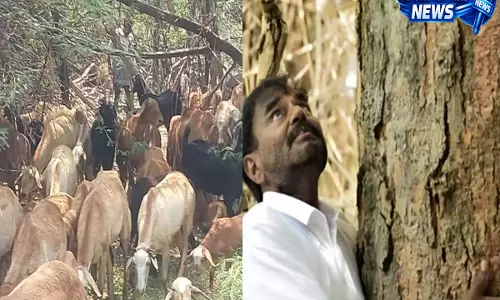Telangana: जंगल बनाने वाले व्यक्ति पर हमला, मौत के मुंह से लौटे Telangana: जंगल बनाने वाले व्यक्ति पर हमला, मौत के मुंह से लौटे