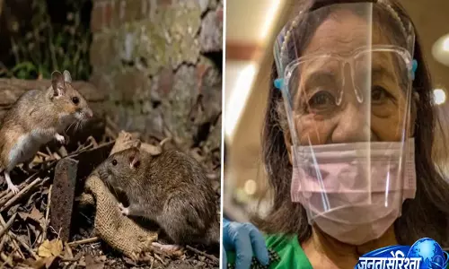 क्या Hantavirus COVID-19 जैसा है? WHO ने क्रूज़ शिप में फैलने के बीच अंतर समझाया क्या Hantavirus COVID-19 जैसा है? WHO ने क्रूज़ शिप में फैलने के बीच अंतर समझाया