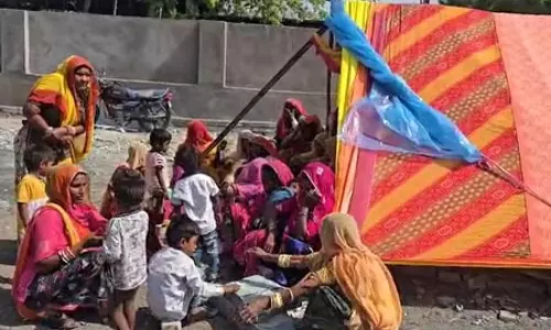 आवारा कुत्तों का आंतक, 2 साल की मासूम को नोचकर मार डाला