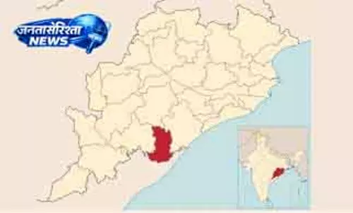 आंध्र प्रदेश के अधिकारियों ने Odisha के सर्वे नंबरों पर पेंट लगा दिया