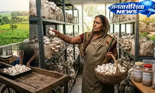 Bihar : कोसी क्षेत्र में मशरूम उत्पादन को बढ़ावा Bihar : कोसी क्षेत्र में मशरूम उत्पादन को बढ़ावा