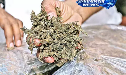 Bihar : 45 किलो गांजा मामले में चार दोषियों को 11-11 साल की सजा, कोर्ट का बड़ा फैसला Bihar : 45 किलो गांजा मामले में चार दोषियों को 11-11 साल की सजा, कोर्ट का बड़ा फैसला