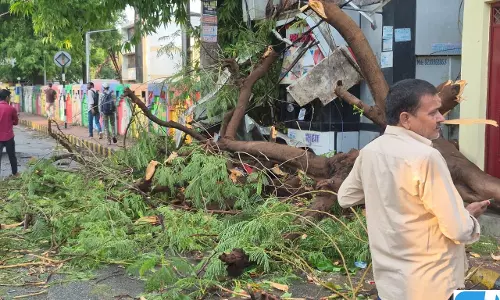 आंधी-बारिश और वज्रपात से तबाही, 8 लोगों की मौत आंधी-बारिश और वज्रपात से तबाही, 8 लोगों की मौत