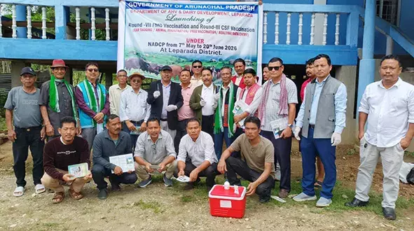 लेपराडा में FMD और CSF टीकाकरण अभियान शुरू किया गया लेपराडा में FMD और CSF टीकाकरण अभियान शुरू किया गया