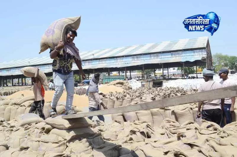 Haryana: गेहूं लिफ्टिंग धीमी, ट्रक पर 500 रुपये जुर्माना Haryana: गेहूं लिफ्टिंग धीमी, ट्रक पर 500 रुपये जुर्माना