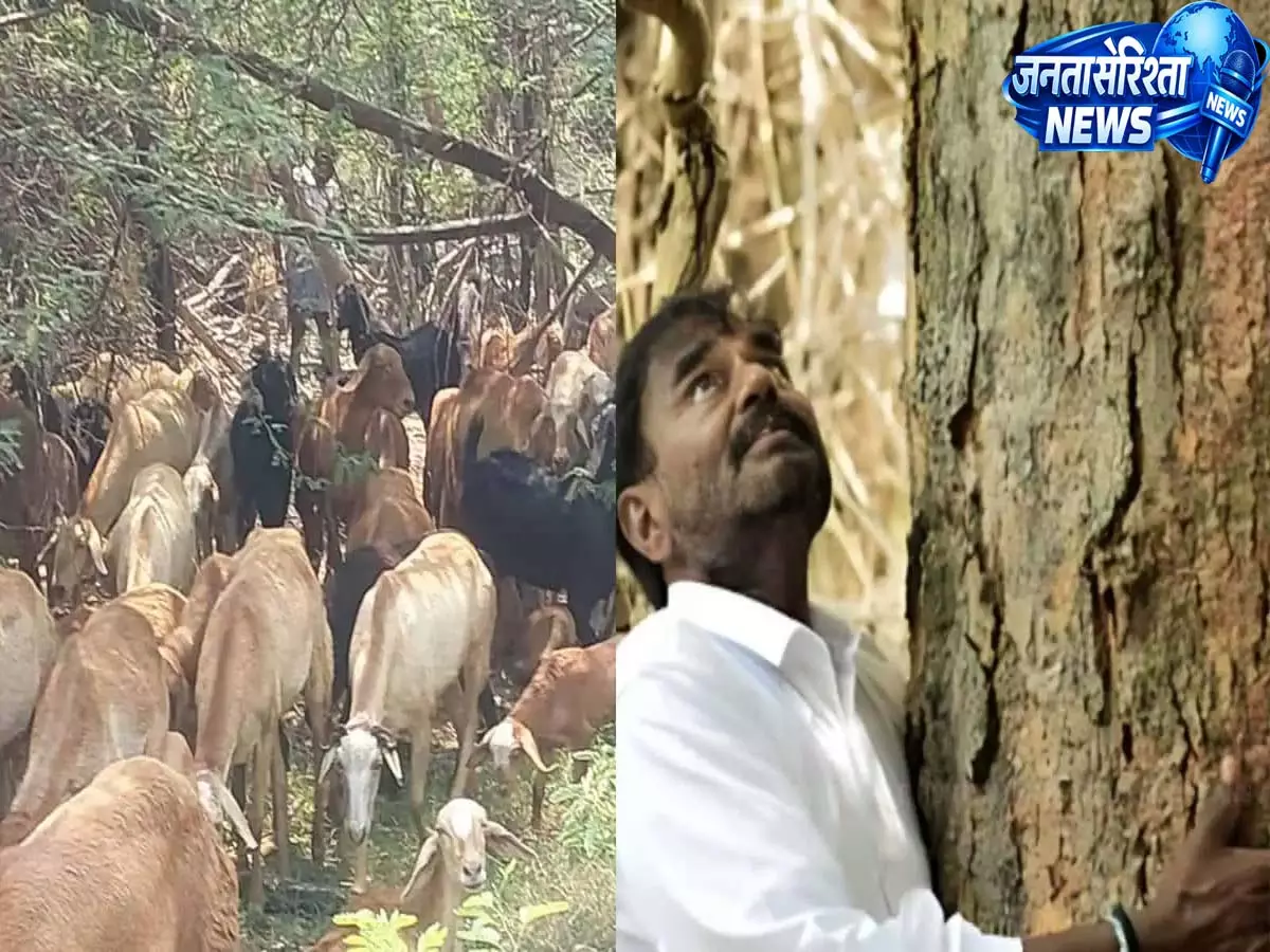 Telangana: जंगल बनाने वाले व्यक्ति पर हमला, मौत के मुंह से लौटे Telangana: जंगल बनाने वाले व्यक्ति पर हमला, मौत के मुंह से लौटे