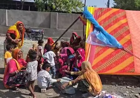 आवारा कुत्तों का आंतक, 2 साल की मासूम को नोचकर मार डाला आवारा कुत्तों का आंतक, 2 साल की मासूम को नोचकर मार डाला