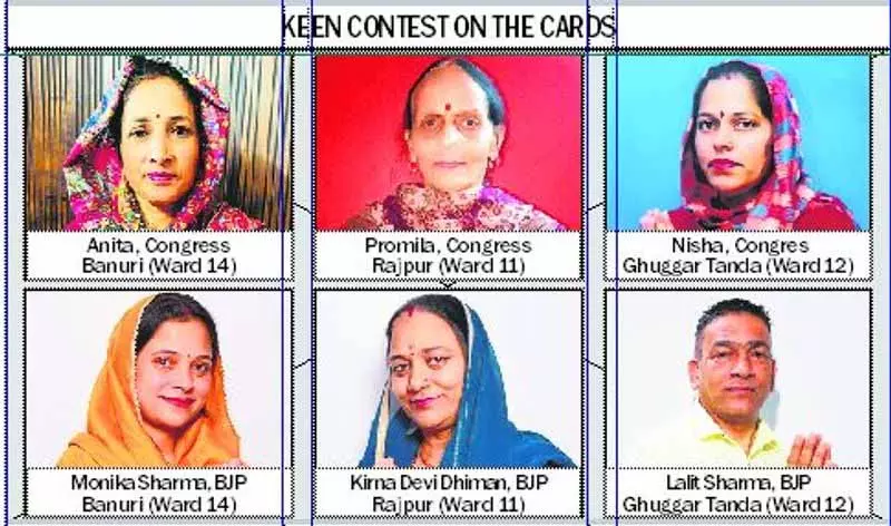 महिला सशक्तिकरण का संदेश, पालमपुर MC चुनाव में 11-11 महिला उम्मीदवार मैदान में महिला सशक्तिकरण का संदेश, पालमपुर MC चुनाव में 11-11 महिला उम्मीदवार मैदान में