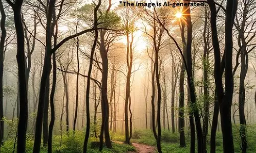 एनर्जी संकट से निपटने का रास्ता: सोशल फॉरेस्ट्री की वापसी एनर्जी संकट से निपटने का रास्ता: सोशल फॉरेस्ट्री की वापसी