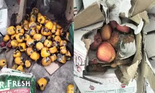 Jaipur: मुहाना मंडी में 10 हजार किलो सड़े फल नष्ट Jaipur: मुहाना मंडी में 10 हजार किलो सड़े फल नष्ट