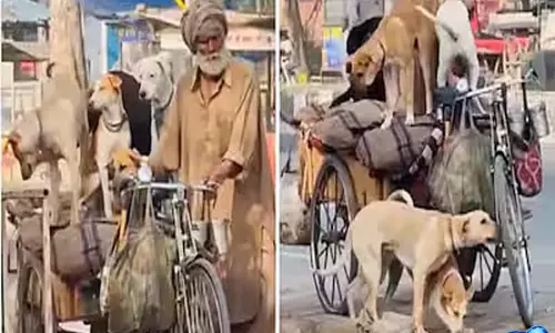 अमीर से भी अमीर आदमी: रिक्शे पर पांच कुत्तों के साथ यात्रा करते बुजुर्ग ने ऑनलाइन दिल जीता