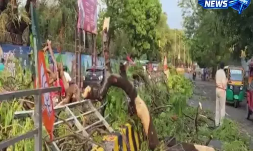 Patna में भयंकर तूफान से 3 की मौत, 5 घायल