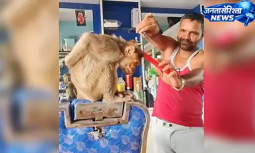 Chamarajanagar : सैलून में पहुंचा बंदर, कुर्सी पर बैठकर करवाया ‘हेयरकट’ Chamarajanagar : सैलून में पहुंचा बंदर, कुर्सी पर बैठकर करवाया ‘हेयरकट’