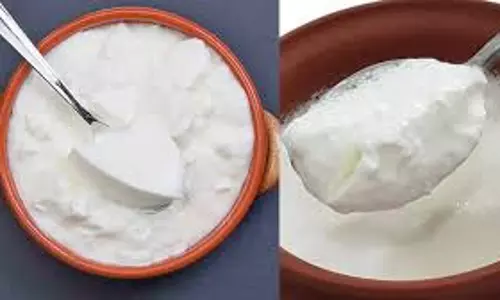 गर्मियों में दही लंबे समय तक ताजा रखने के आसान उपाय गर्मियों में दही लंबे समय तक ताजा रखने के आसान उपाय