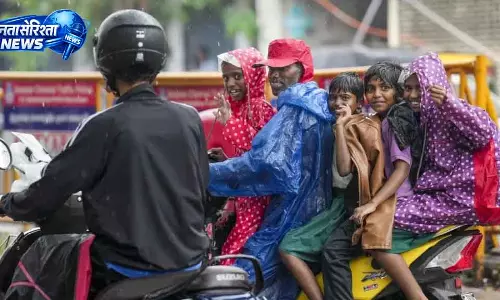 गर्मियों की बारिश में Chennai का ऐतिहासिक पेड़ गिरा