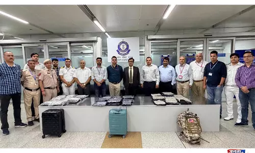 Delhi airport के कस्टम अधिकारियों ने बैंकॉक से आए यात्रियों से 35 करोड़ रुपये की हाइड्रोपोनिक वीड ज़ब्त की