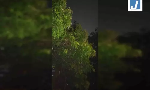 छत्तीसगढ़ में बदला मौसम का मिजाज, रायपुर समेत कई शहरों में तेज हवाओं के साथ बारिश छत्तीसगढ़ में बदला मौसम का मिजाज, रायपुर समेत कई शहरों में तेज हवाओं के साथ बारिश