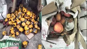 Jaipur: मुहाना मंडी में 10 हजार किलो सड़े फल नष्ट Jaipur: मुहाना मंडी में 10 हजार किलो सड़े फल नष्ट