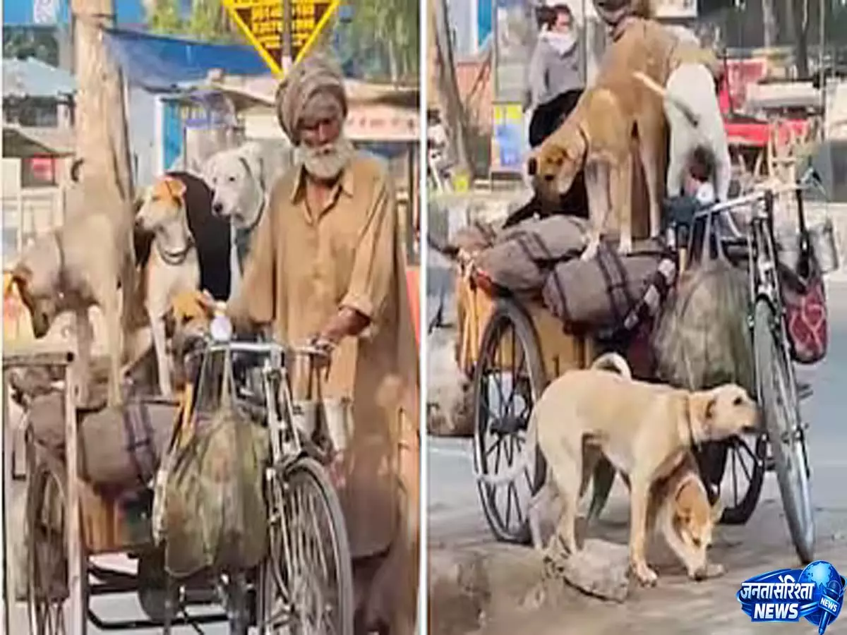 अमीर से भी अमीर आदमी: रिक्शे पर पांच कुत्तों के साथ यात्रा करते बुजुर्ग ने ऑनलाइन दिल जीता अमीर से भी अमीर आदमी: रिक्शे पर पांच कुत्तों के साथ यात्रा करते बुजुर्ग ने ऑनलाइन दिल जीता