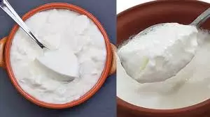 गर्मियों में दही लंबे समय तक ताजा रखने के आसान उपाय गर्मियों में दही लंबे समय तक ताजा रखने के आसान उपाय