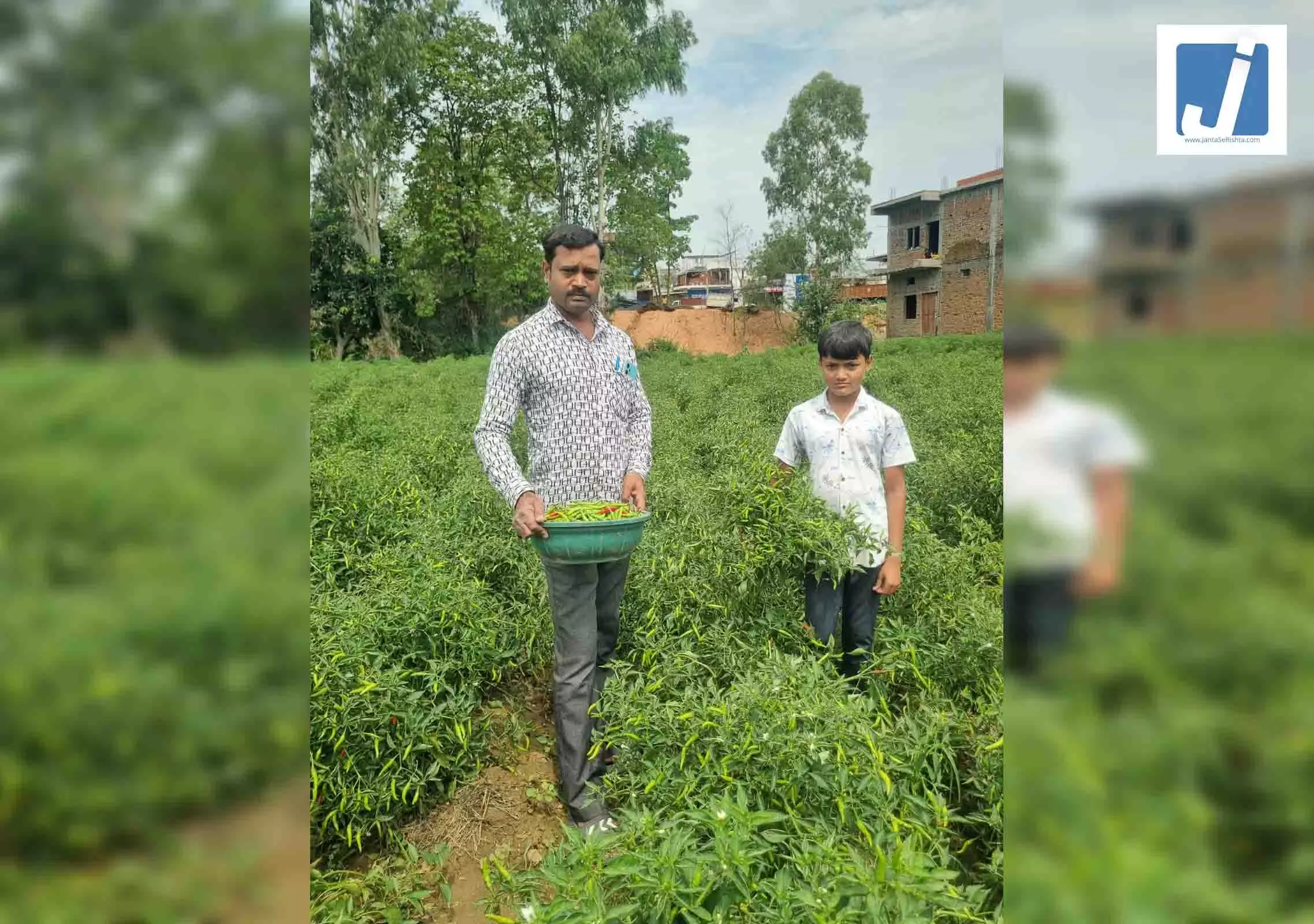 सफलता की कहानी...बिना केमिकल, बंपर मुनाफा, इस मिर्च ने बाजार में मचाई धूम सफलता की कहानी...बिना केमिकल, बंपर मुनाफा, इस मिर्च ने बाजार में मचाई धूम