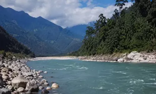 कलाई-II हाइडल प्रोजेक्ट: लुप्तप्राय पक्षियों के ठिकाने अज्ञात, चिंता बढ़ी