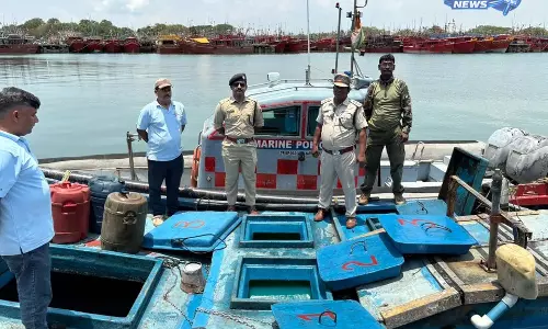 Odisha: पारादीप में डीज़ल स्मगलिंग रैकेट का भंडाफोड़, 3,500 लीटर फ्यूल जब्त, एक गिरफ्तार Odisha: पारादीप में डीज़ल स्मगलिंग रैकेट का भंडाफोड़, 3,500 लीटर फ्यूल जब्त, एक गिरफ्तार