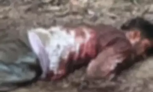 कोरबा में फैक्ट्री कर्मचारी की हत्या, खून से लथपथ मिली लाश कोरबा में फैक्ट्री कर्मचारी की हत्या, खून से लथपथ मिली लाश