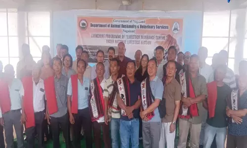 Nagaland: खार, नागालैंड में पशुधन बीमा योजना लागू Nagaland: खार, नागालैंड में पशुधन बीमा योजना लागू