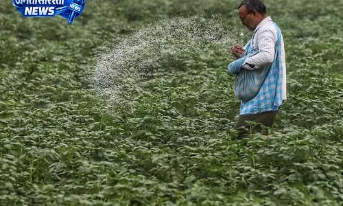 खाद की गुणवत्ता फेल, Fertilizer से 10.8 टन जब्त खाद की गुणवत्ता फेल, Fertilizer से 10.8 टन जब्त