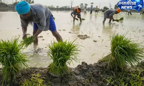 Punjab में बिजली और कृषि दोनों पर दबाव, चुनावी मौसम में चुनौती Punjab में बिजली और कृषि दोनों पर दबाव, चुनावी मौसम में चुनौती