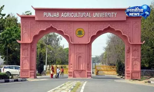 Ludhiana: कृषि और स्वास्थ्य पर फोकस, महिला किसानों के लिए ट्रेनिंग कैंप Ludhiana: कृषि और स्वास्थ्य पर फोकस, महिला किसानों के लिए ट्रेनिंग कैंप