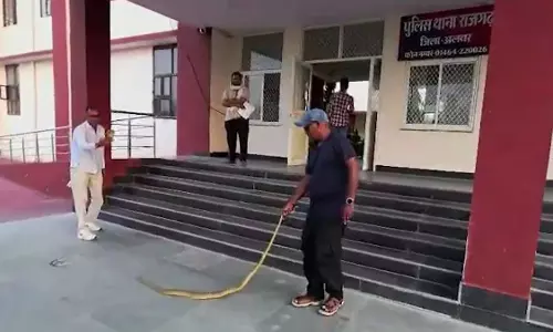 थाने अंदर 8 फीट का सांप मिला, इधर-उधर भागे पुलिसकर्मी