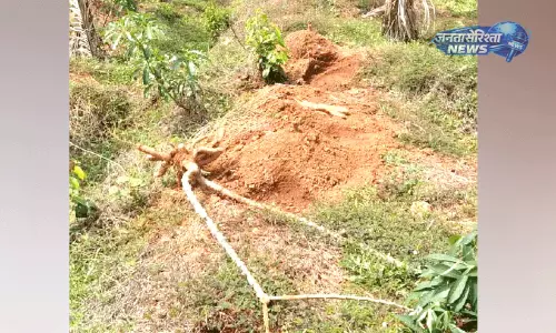 Kerala : जंगली हाथियों के हमले से किसानों की फसलें बर्बाद, ग्रामीण परेशान Kerala : जंगली हाथियों के हमले से किसानों की फसलें बर्बाद, ग्रामीण परेशान